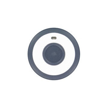 Télécommande Panique radio 2 boutons