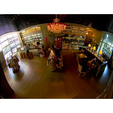 Outdoor Vandal Dome, 5MP 180° Panoramic, WDR