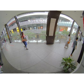 Outdoor Vandal Dome, 5MP 180° Panoramic, WDR