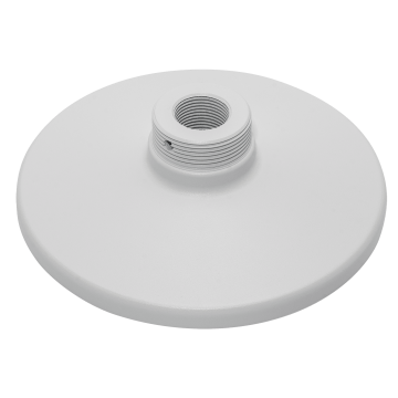 Mounting adapter (3/4\" NPT female connector