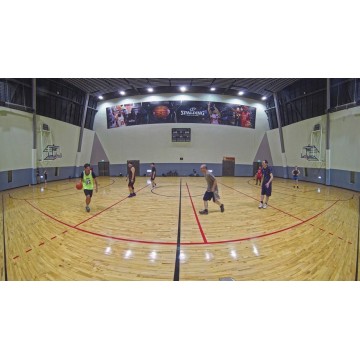 Outdoor Vandal Dome, 8MP 180° Panoramic, 30fps, H.