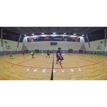 Outdoor Vandal Dome, 5MP 180° Panoramic, 30fps, H.