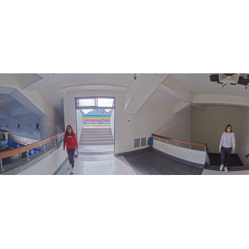 Outdoor Vandal Bullet, 20M 180° Panoramic, (4x5 se